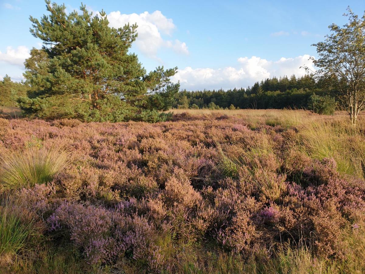 Buitenplaats Reestdal IJhorst Luaran gambar