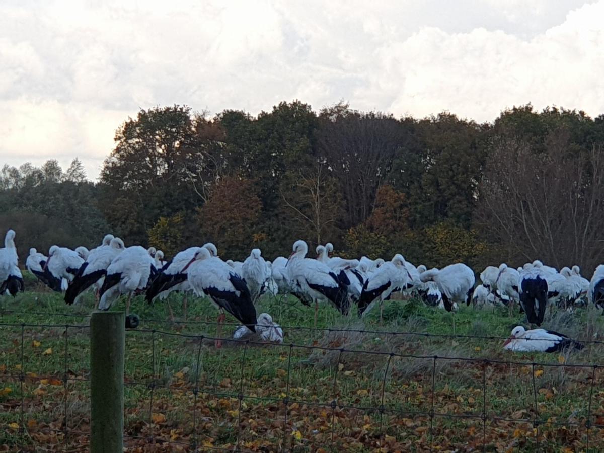 Buitenplaats Reestdal IJhorst Luaran gambar